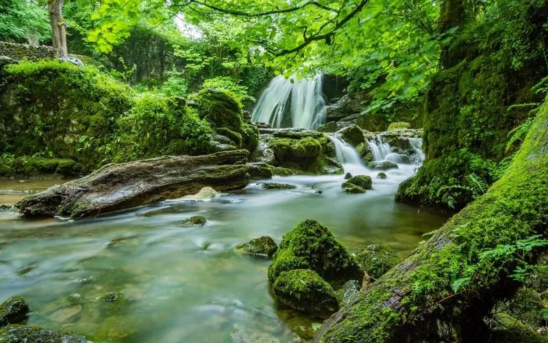 高效高质量